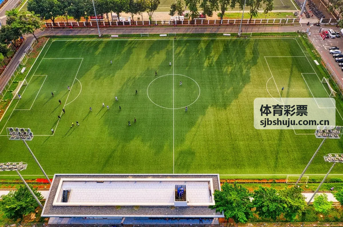 体育彩票赛事资料与球场场景